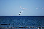 Ostseeheilbad Zingst