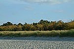 Ostseeheilbad Zingst